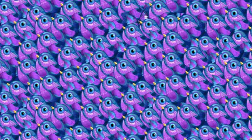 Görsel becerinizi arttıracak bir bulmaca! Verilen görseldeki kelebeği görebiliyor musunuz?