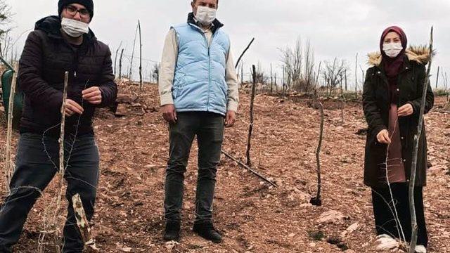 Hisarcık’ta goji berry’lerin gelişim ve durumları incelendi