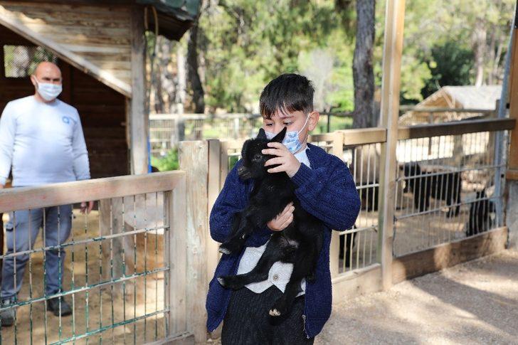 Antalya Hayvanat Bahçesi’nde yeni yavrular G4