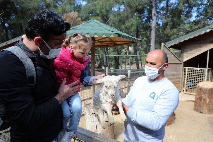 Antalya Hayvanat Bahçesi’nde yeni yavrular G5