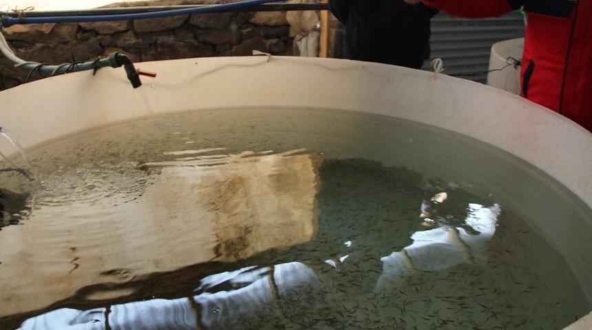 Alabalık tesisleri denetlendi