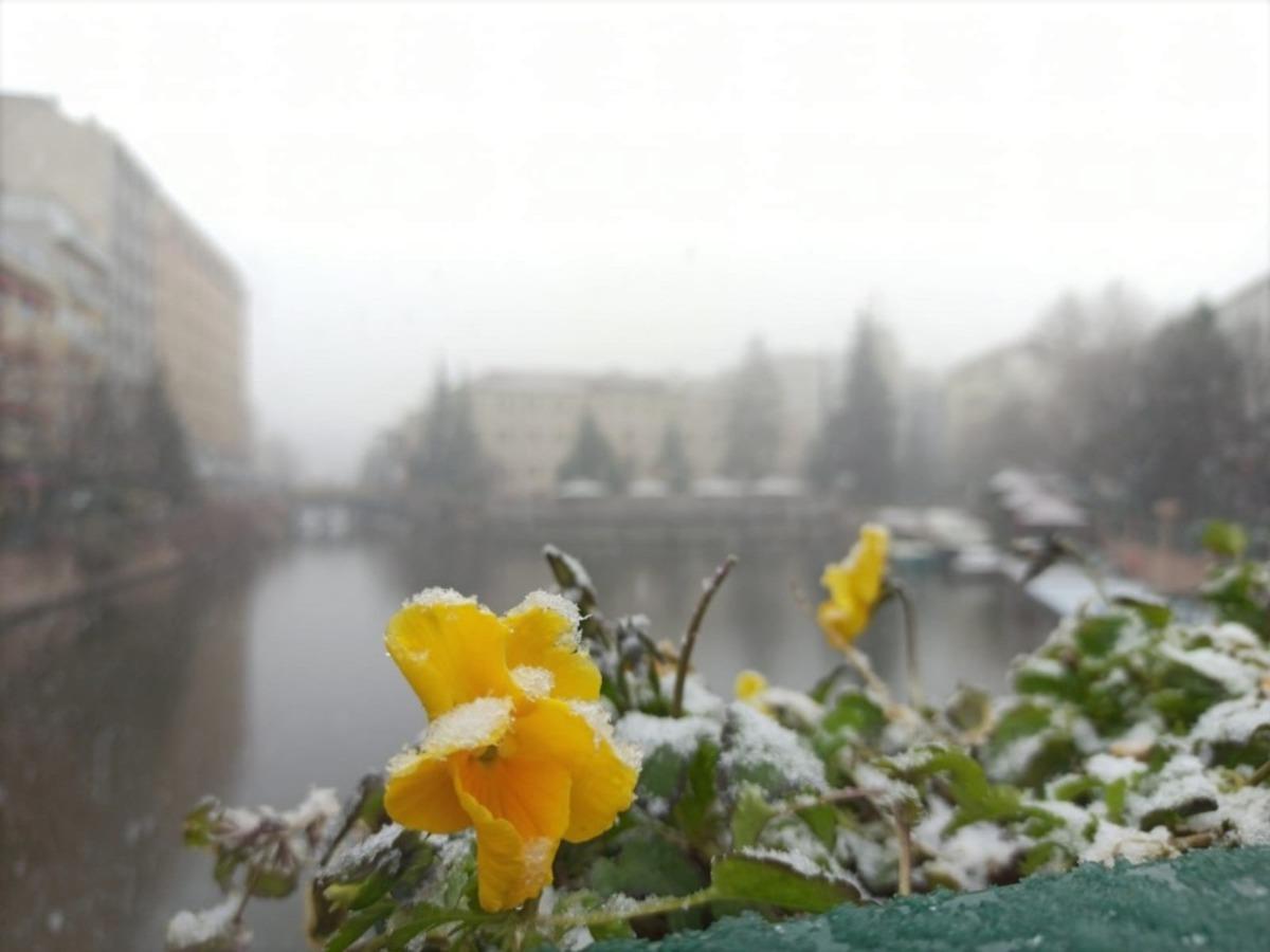 Yoğun kar yağışının getirdiği kartpostallık g&ouml;r&uuml;nt&uuml;ler