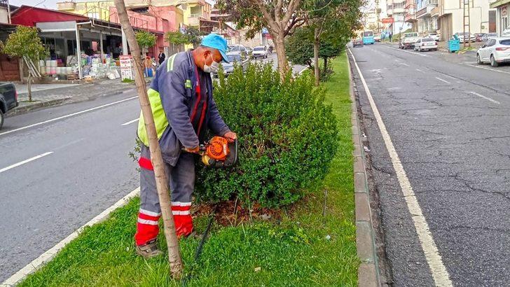 Kahramanmaraş’ta minyatür ağaçlar budanıyor G2