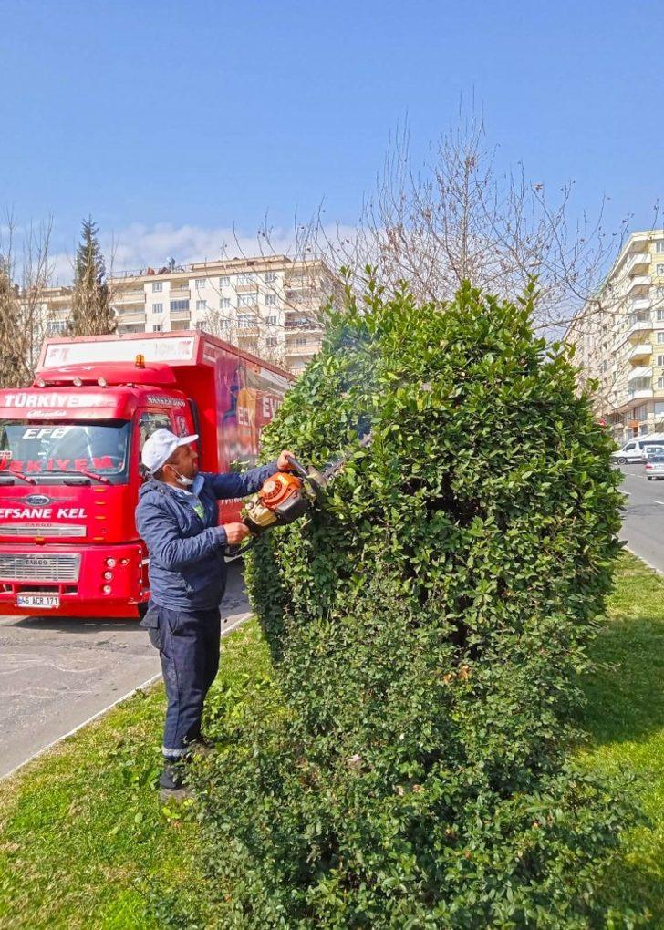 Kahramanmaraş’ta minyatür ağaçlar budanıyor G3