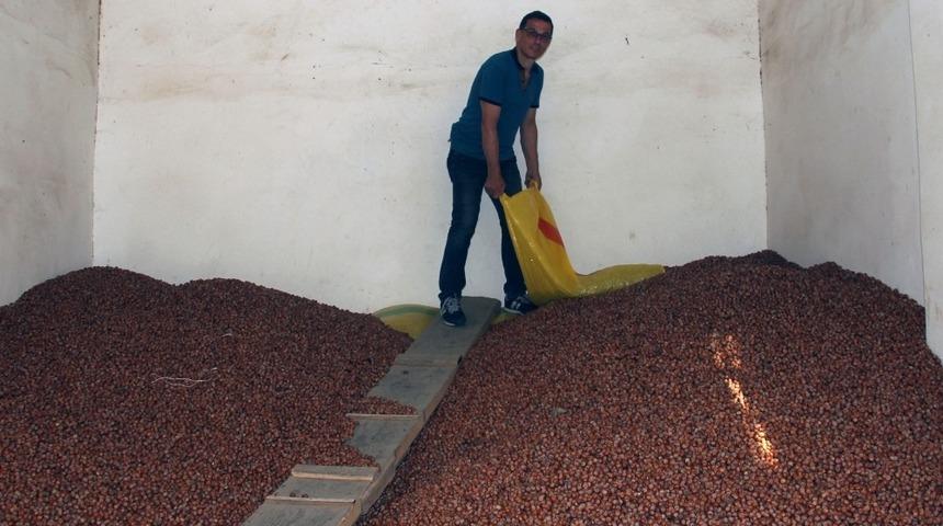 Fındık fiyatı haftayı d&uuml;ş&uuml;şle kapattı