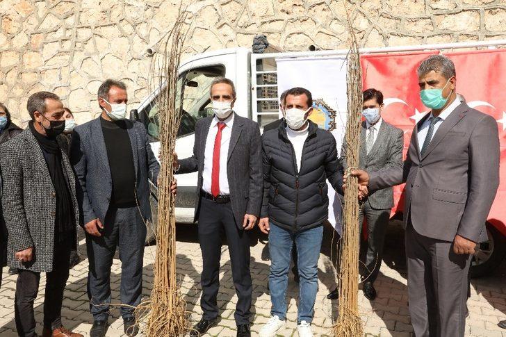 Ergani ve Çermik’te 120 çiftçiye 3 bin adet dut fidanı dağıtıldı G4