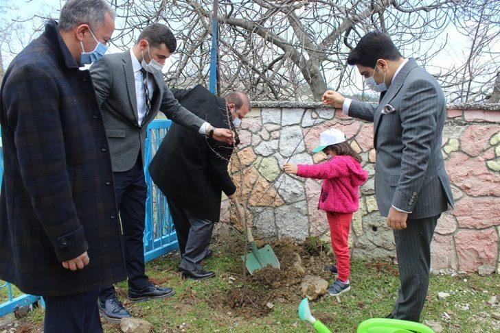 Türkeli’de Orman Haftası etkinlikleri G1