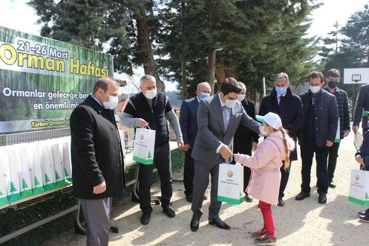 Türkeli’de Orman Haftası etkinlikleri G3