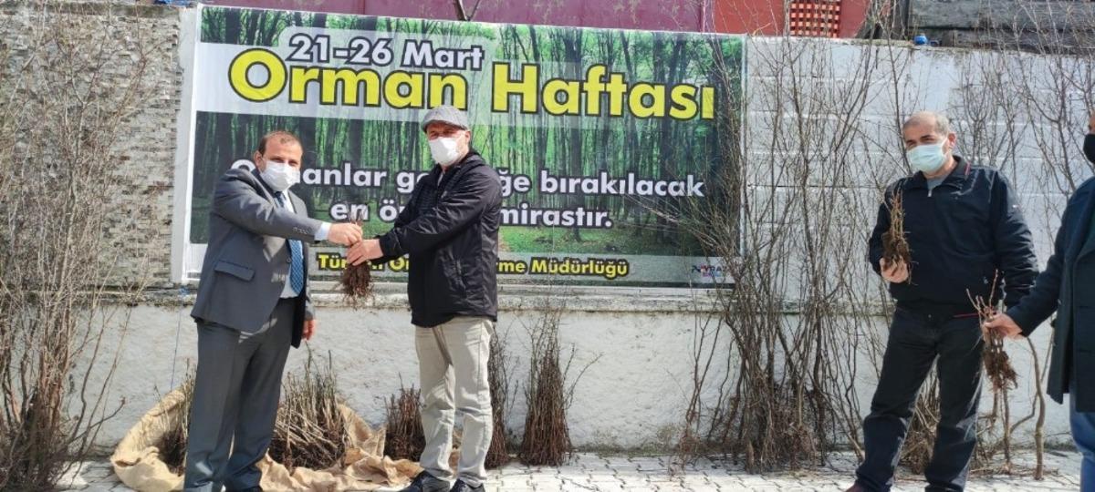 T&uuml;rkeli&rsquo;de vatandaşlara fidan dağıtımı yapıldı