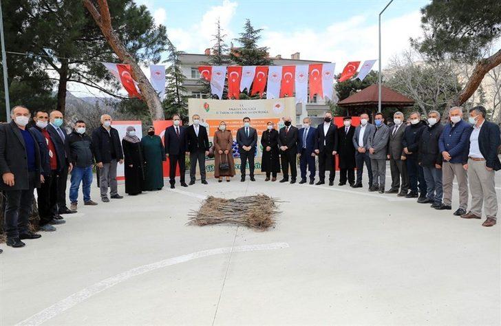 Amasya’da incir, elma ve kiraza alternatif olacak G2