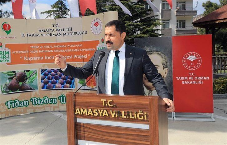 Amasya’da incir, elma ve kiraza alternatif olacak G3