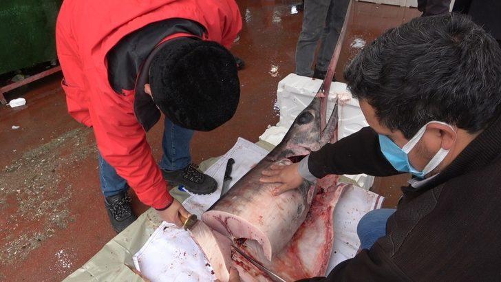 2,5 metre 98 kilogramlık kılıç balığı 1 saatte tükendi G2