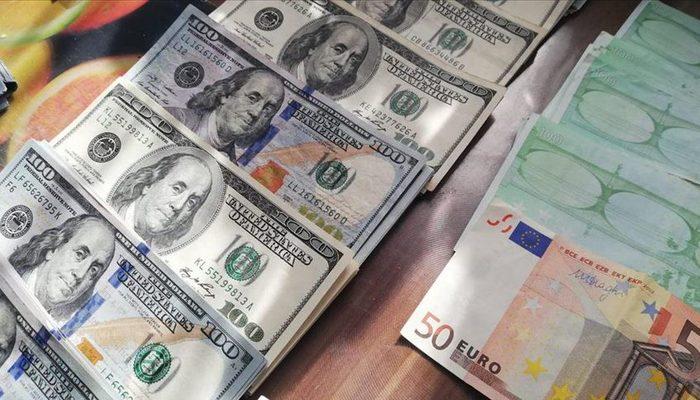 5 95 euro kaç dolar