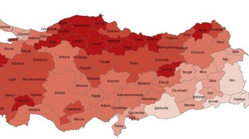 Erzurum Yaşlı N&uuml;fus verileri a&ccedil;ıklandı