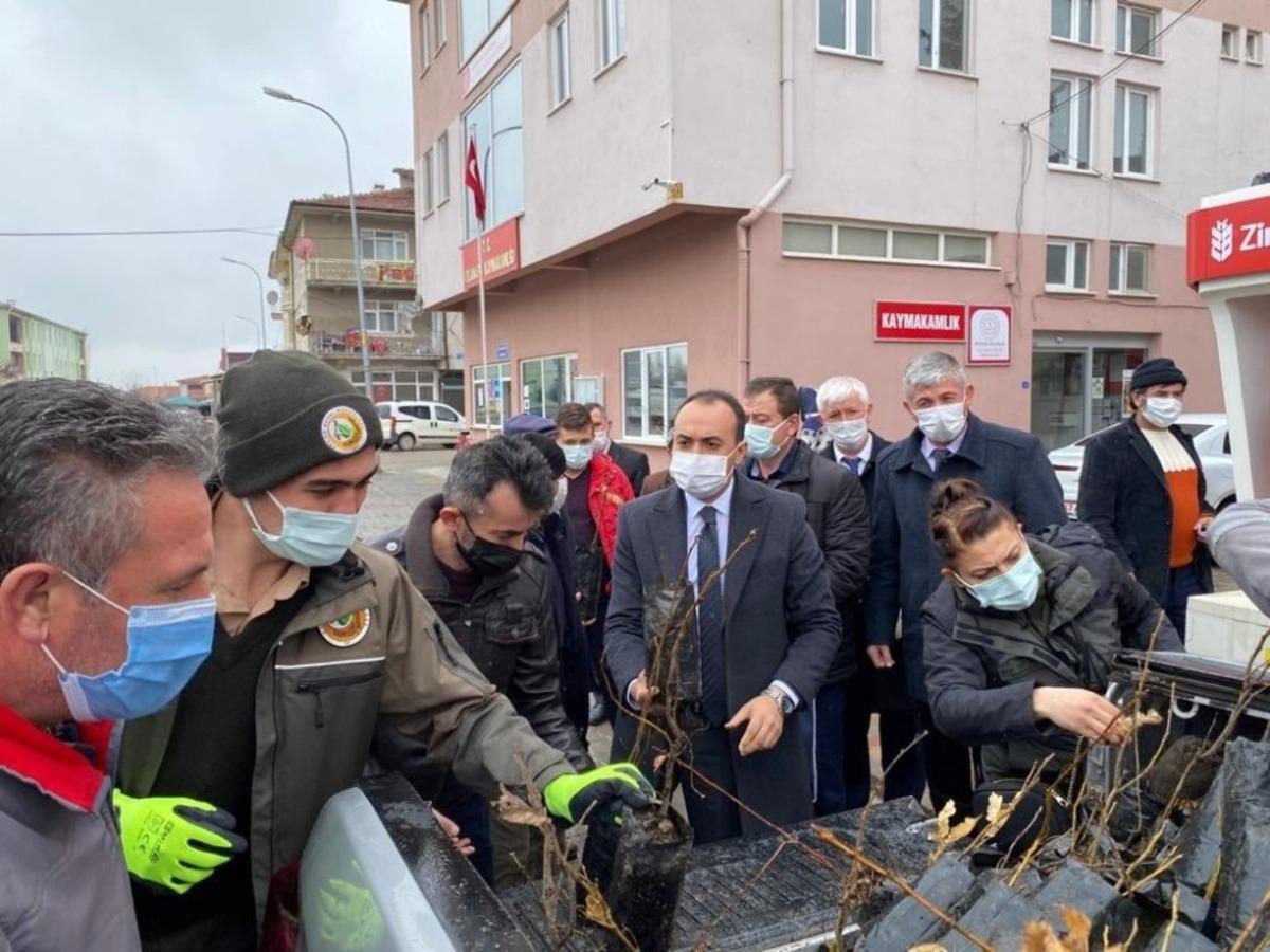Aslanapa&rsquo;da fidan dağıtımı