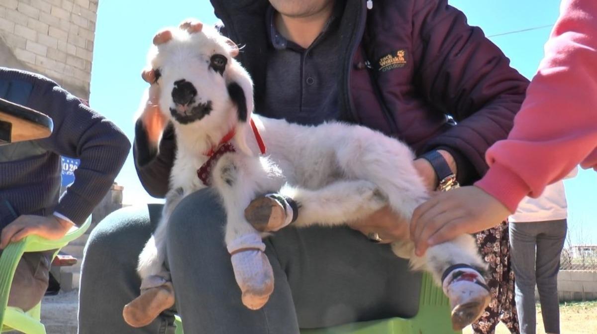 Evde bebek gibi b&uuml;y&uuml;t&uuml;yorlar
