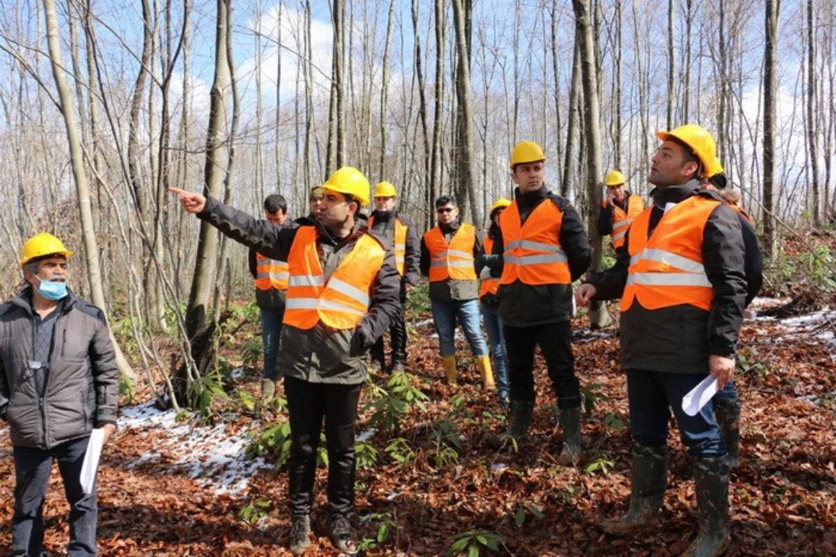D&uuml;zce&rsquo;de silvik&uuml;lt&uuml;r uygulamaları yapıldı
