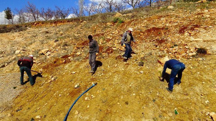 Güneyyurt’ta 3 bin çam fidanı toprakla buluşturuldu G2