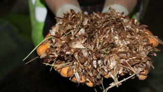 Köylüler kasalarla tavuk kümesine koyuyor! ''Zamanla yarışıyoruz''