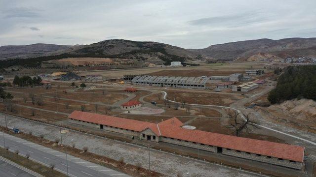 Saraya at yetiştirilmişti, çalışmalar hızla sürüyor
