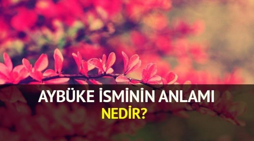 Ayb&uuml;ke isminin anlamı nedir? Ayb&uuml;ke ne demek?