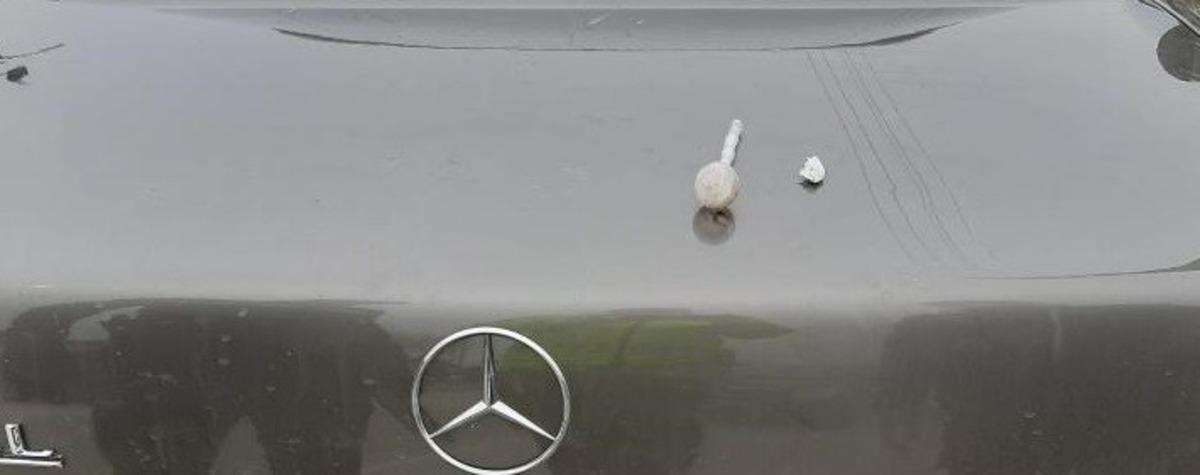 Trafik uygulamasında aranması &ccedil;ıktı g&ouml;zaltına alındı