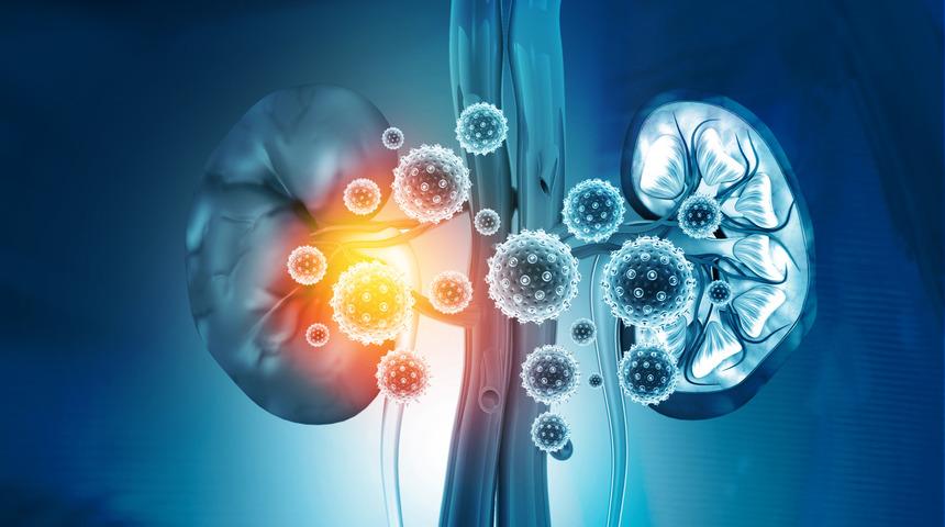 Böbrek hastalarına koronavirüs uyarısı: Ölüm riski çok yüksek!