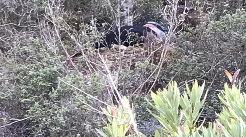 Manavgat&rsquo;ta kafası bedeninden ayrılmış erkek cesedi bulundu