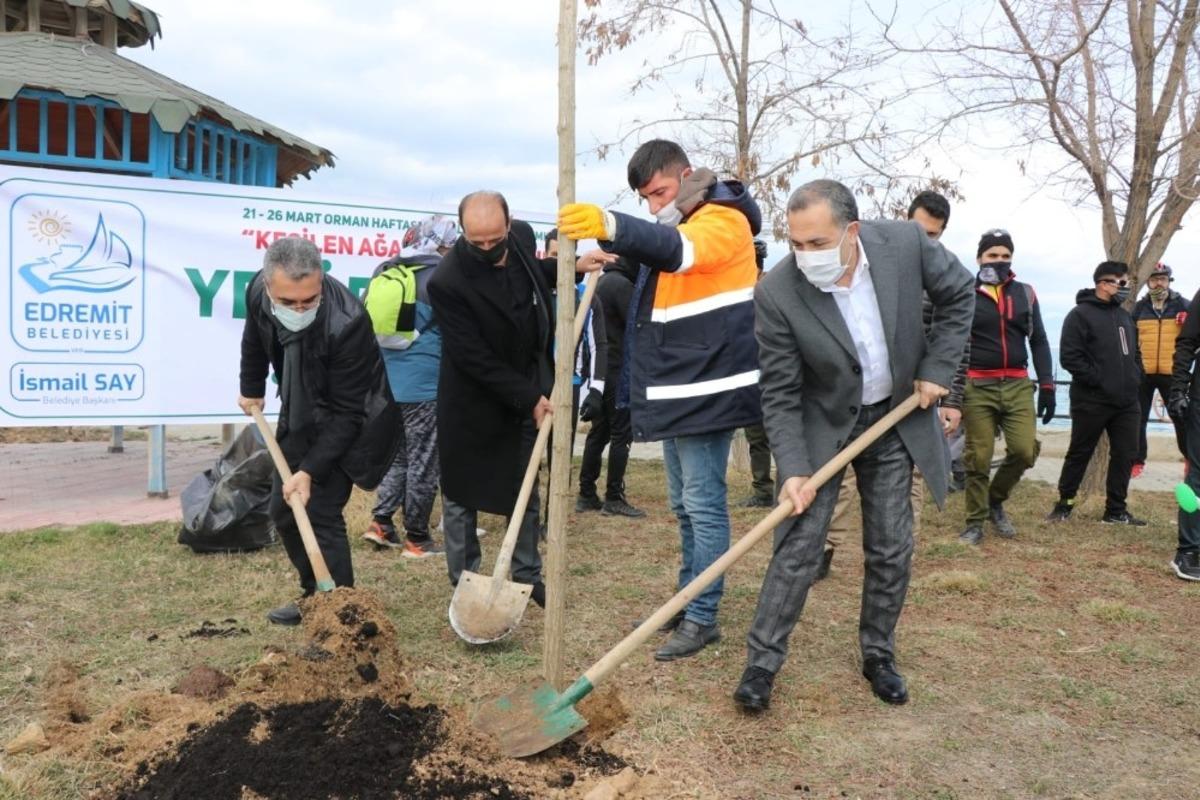 Kesilen ağa&ccedil;ların yerine onlarcası dikildi