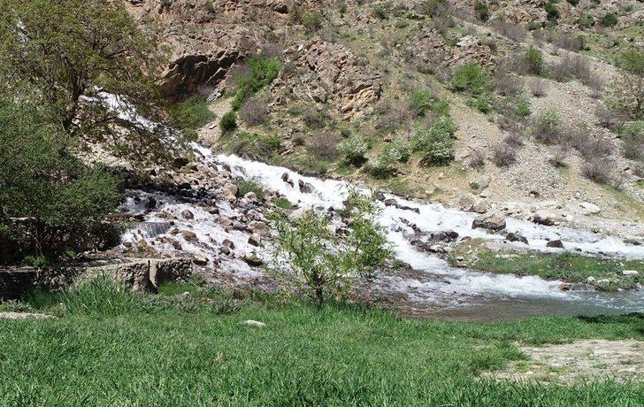 Kanispi Şelalesi koruma altına alındı G2