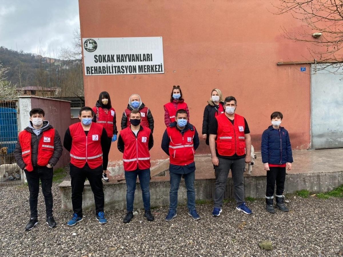 Kızılay sokak hayvanlarını unutmadı
