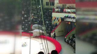 Rusya'da sirkte dehşet! Seyirciler korkuyla tribünleri terk etti