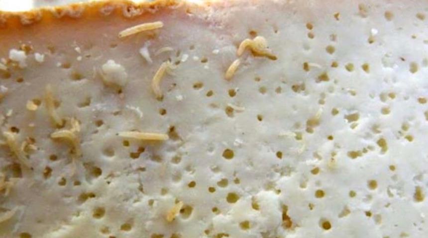 İçindeki 'kurtçuklarla' yenilen peyniri satana ceza!