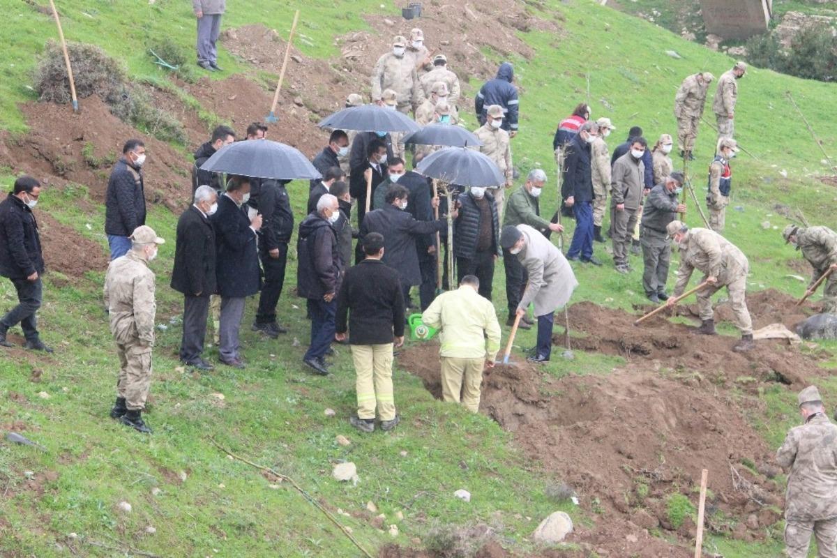 Suriye sınırında yağmur altında fidanlar toprakla buluşturuldu