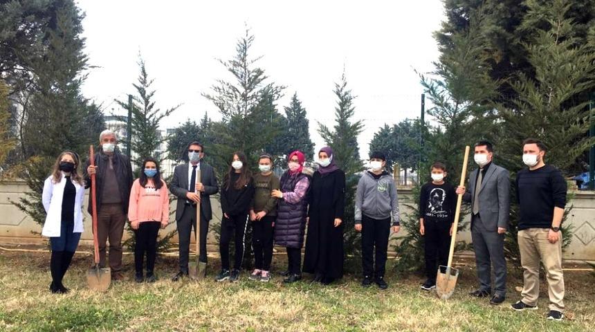 Yenişehir yeşillenecek