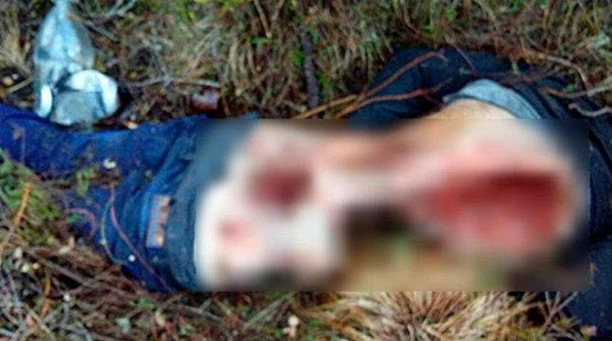 Rusya’da ayı dehşeti! Paramparça etti!