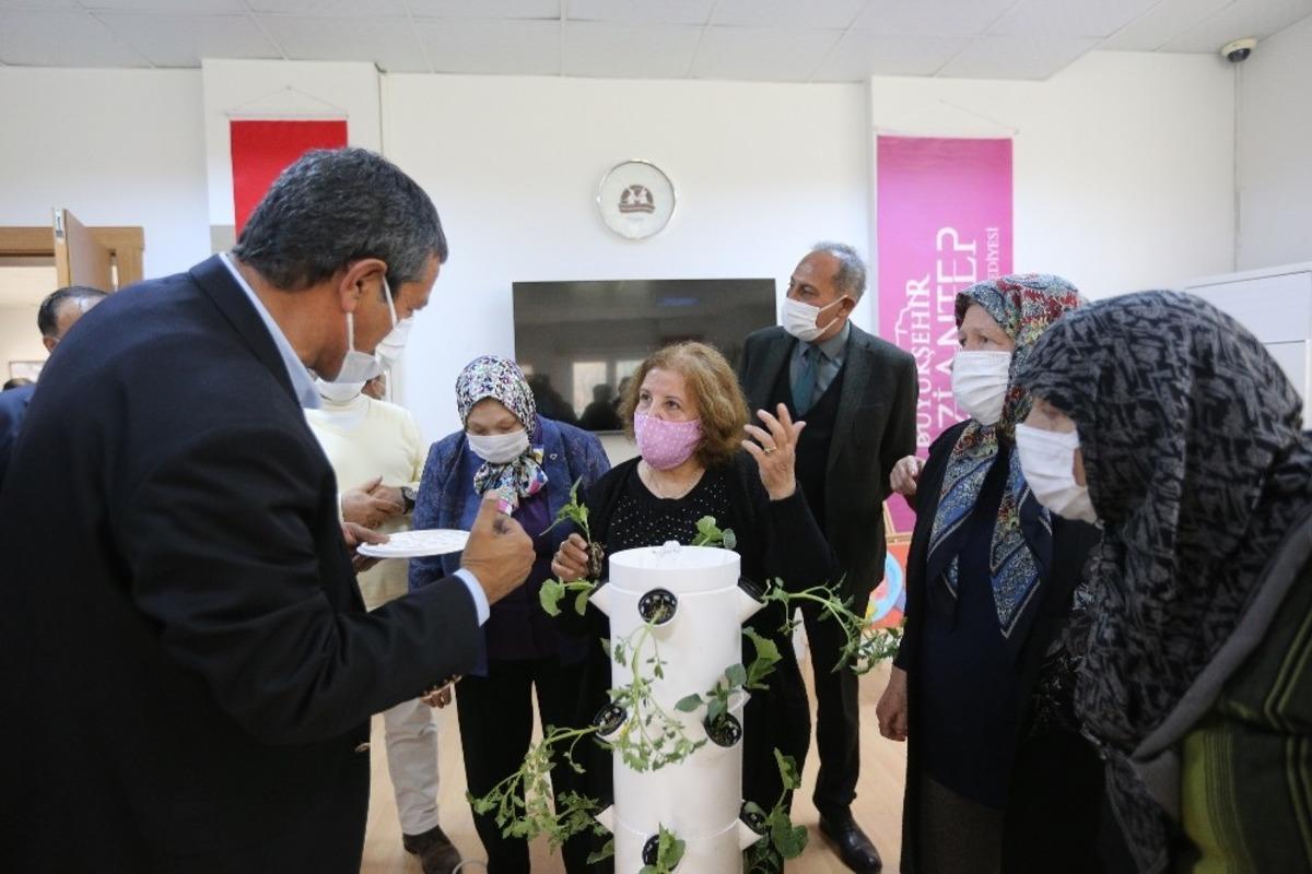 Ulu &ccedil;ınarlara yaşlılar haftasında anlamlı hediye