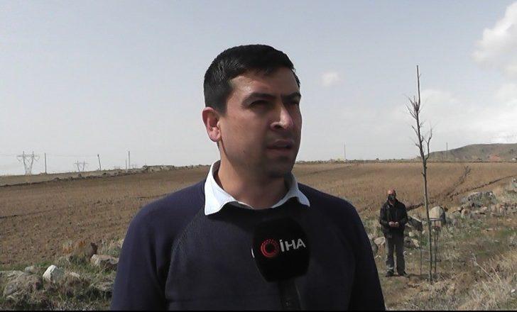 Daha yeşil Çaylıca için 200 ağaç dikildi G2