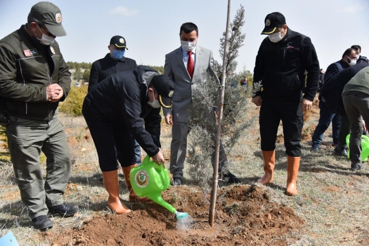 Karaman&rsquo;da &lsquo;D&uuml;nya Ormancılık Haftası&rsquo; etkinlikleri
