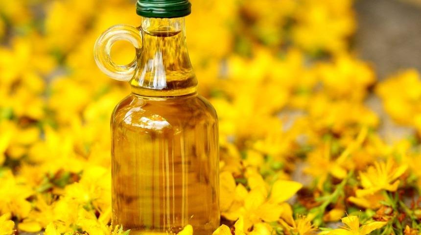 Kantaron yağının cilde ve saça faydaları nelerdir? Kantaron yağı nerelerde bulunur?