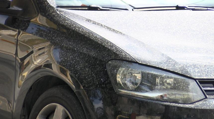 Hüseyin Toros: İstanbul'da çamur yağmurunun sebebi Afrika çöl tozu