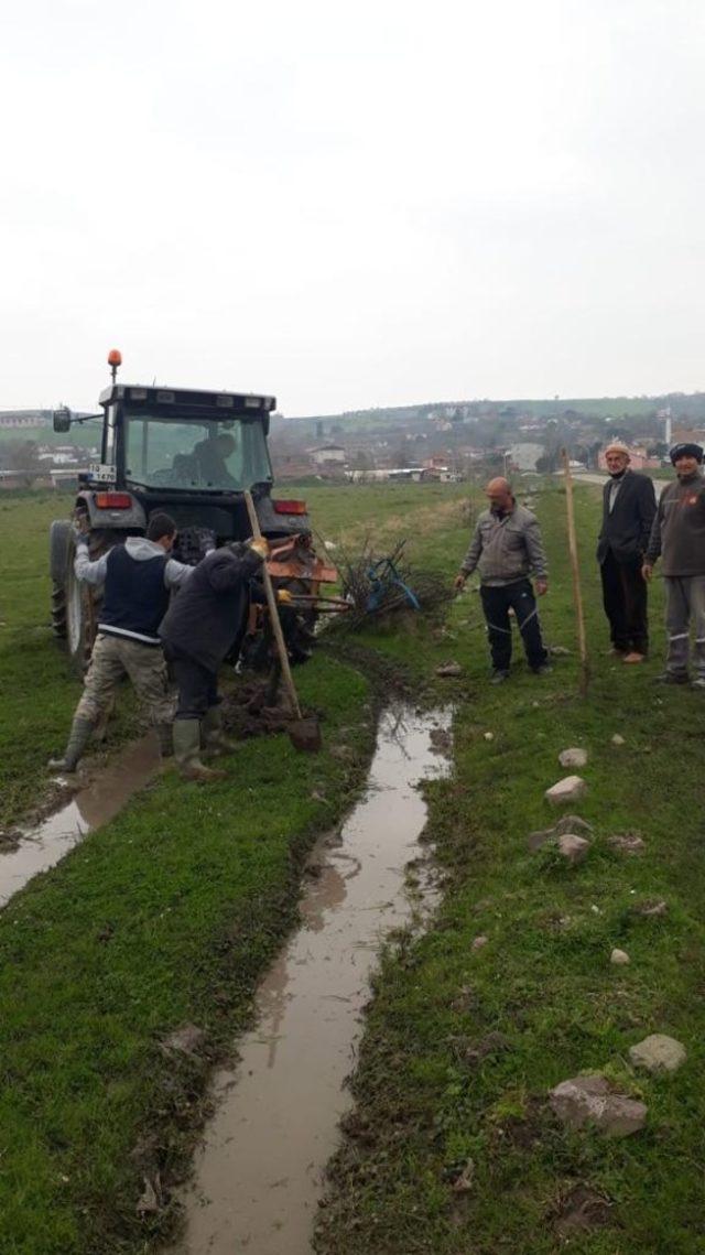 Yeniköy Mahallesi imeceyle 83 pavlonya fidanı dikti