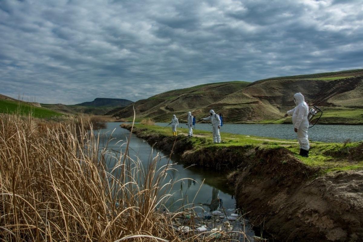 Batman&rsquo;da karasinek ve sivrisinekle m&uuml;cadele &ccedil;alışmaları başladı