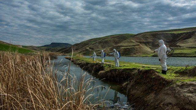 Batman’da karasinek ve sivrisinekle mücadele çalışmaları başladı