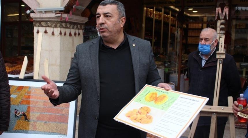 &Ouml;zcan, Kayısının gelişim s&uuml;recini anlattı