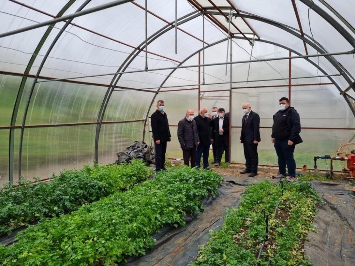 OM&Uuml; Ziraat Fak&uuml;ltesi seraları modernize edilecek