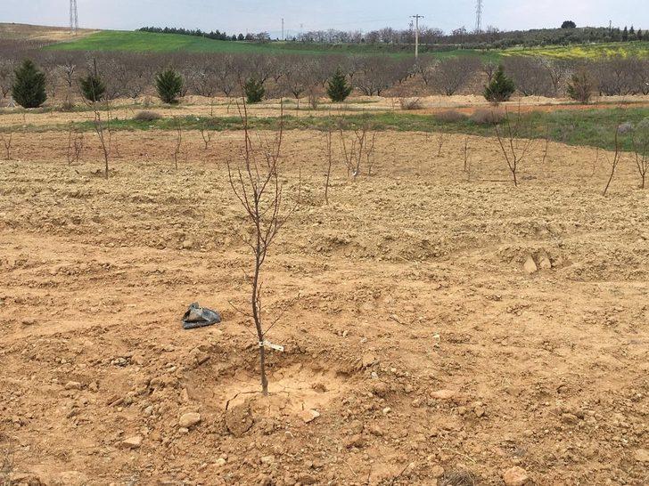 Salihli OSB’den ağaç seferberliği G1