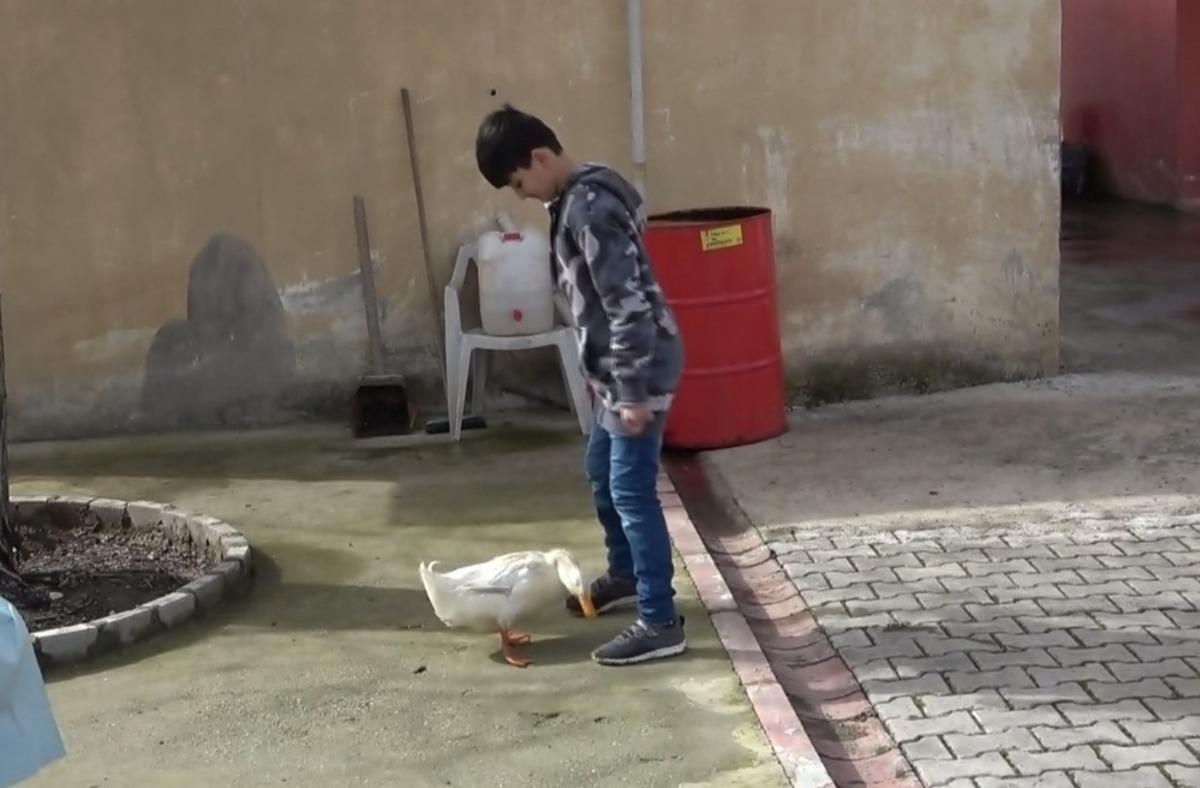 K&uuml;&ccedil;&uuml;k Yusuf&rsquo;la &ouml;rdeğin dostluğu