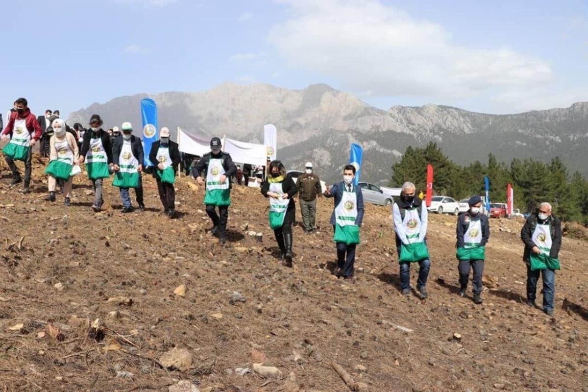 Adana&rsquo;da yanan ormanlık alanlara kızıl&ccedil;am tohumu ekiliyor