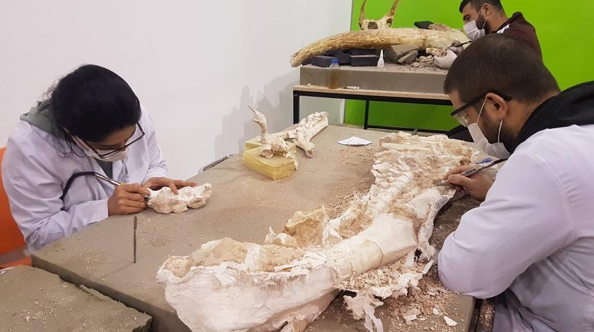 3 yıldır devam ediyordu, sayıları bine yaklaştı: Tek tek temizliyorlar! 